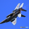 2015 岐阜基地航空際予行1