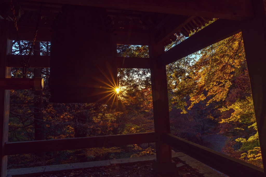 阿弥陀寺と唐沢山の紅葉