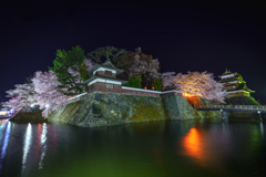 高島城の夜桜
