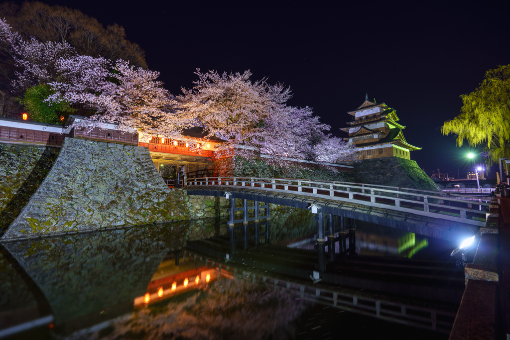 高島城の夜桜