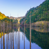 立ち枯れの神秘 王滝村の自然湖