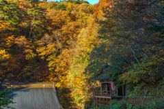 阿弥陀寺と唐沢山の紅葉