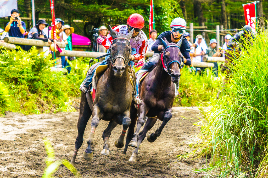 第64回高ボッチ高原観光草競馬大会