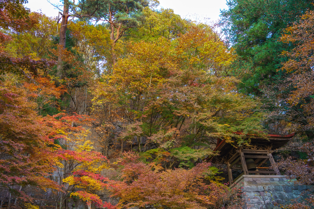 阿弥陀寺と唐沢山の紅葉