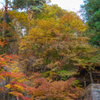 阿弥陀寺と唐沢山の紅葉