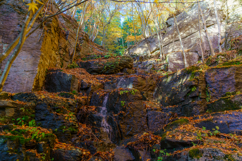 阿弥陀寺と唐沢山の紅葉