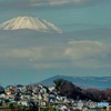Fuji YAMA