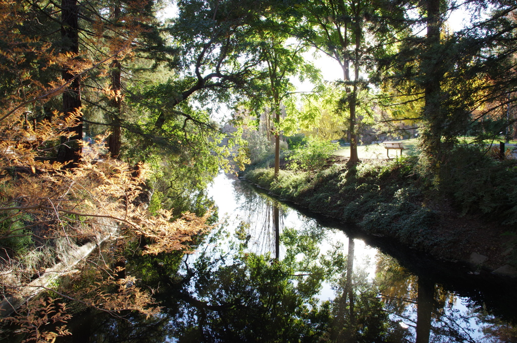 Reflection 2 
