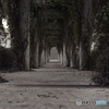 Ruin~ミドリニシハイサレタセカイ~