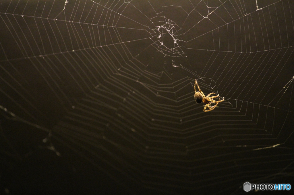 迎えてくれたのは、、、