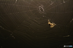 迎えてくれたのは、、、