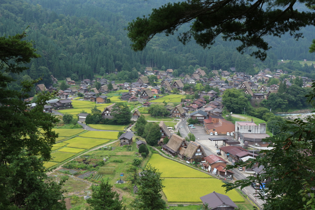 白川郷景観