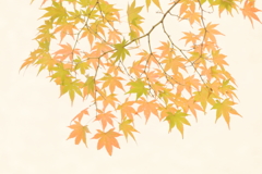 秋の彩り