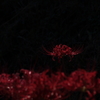 『秋』　～ あなだだけを想ふ ～
