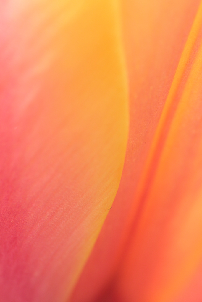 Colors【2】　～ World Peace ～