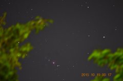 木々の間のオリオン星雲