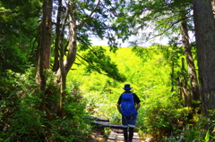 森林限界の先へ