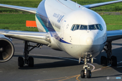羽田空港