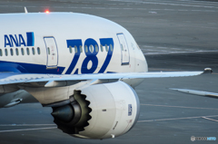 羽田空港