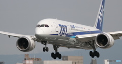 ANA 787-8 (4Kフォト)