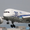 ANA 787-8 (4Kフォト)