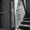 50年②