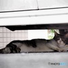 ごあいさつ