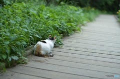 何がみえるの