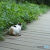 何がみえるの
