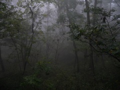 埼玉の丸山