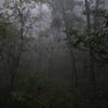 埼玉の丸山