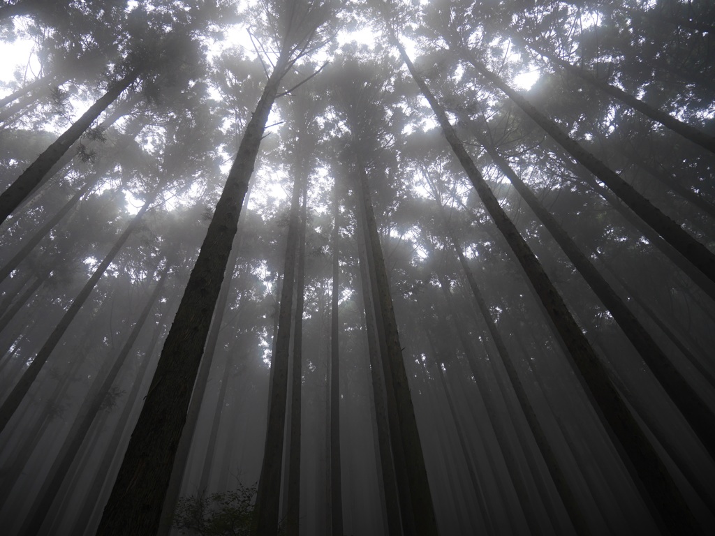埼玉の丸山