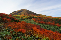 秋田駒ケ岳