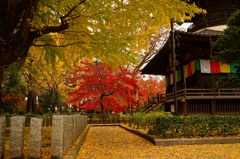 足利の鑁阿寺