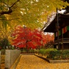 足利の鑁阿寺