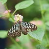 多摩動物公園です。