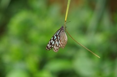 多摩動物公園です。