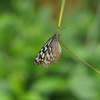 多摩動物公園です。