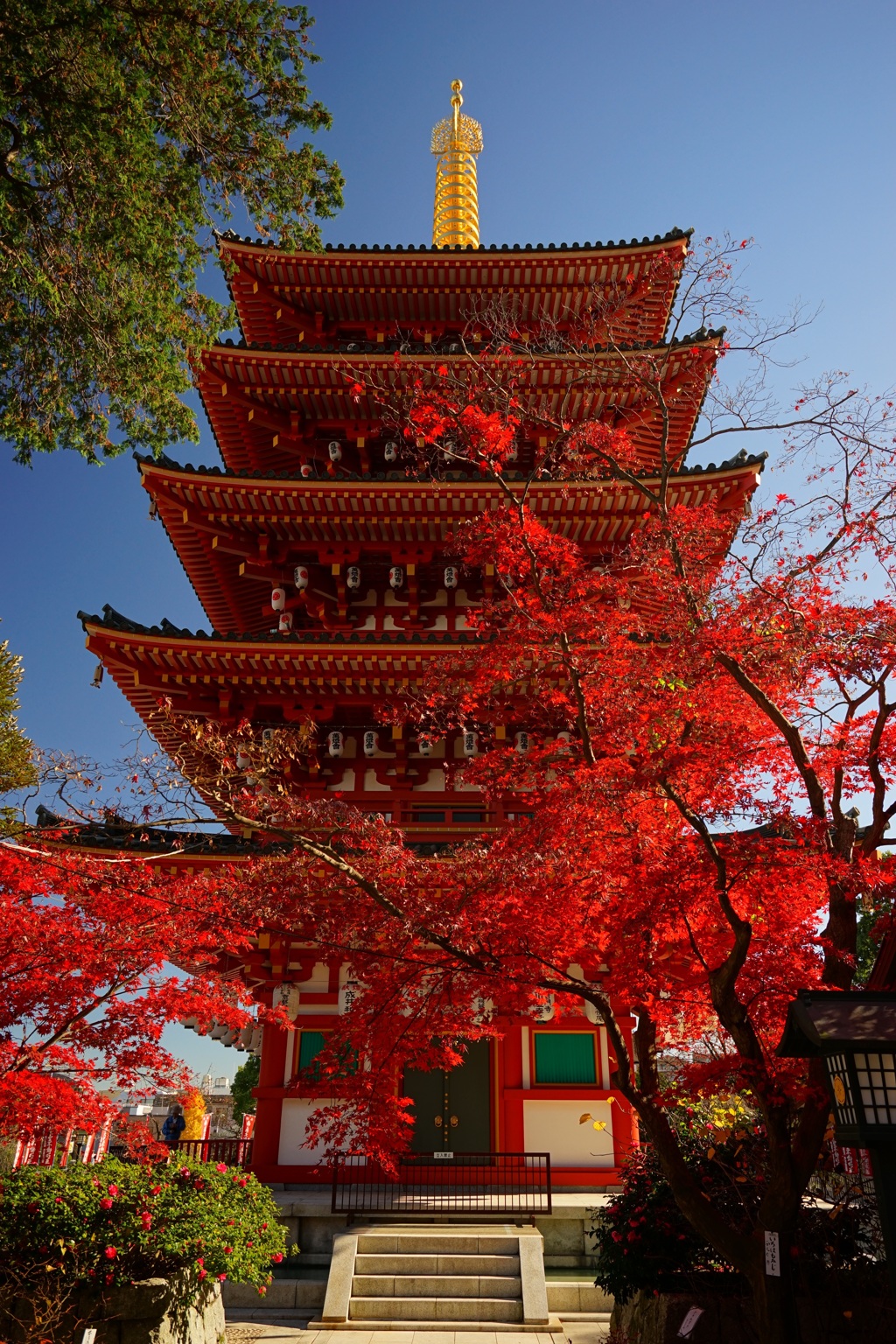 高幡不動です。