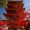高幡不動です。