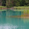 五色沼