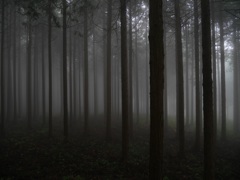 埼玉の丸山