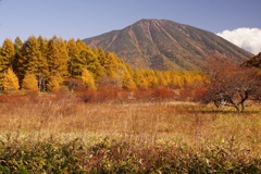 小田城ヶ原
