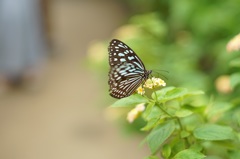 多摩動物公園です。