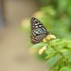 多摩動物公園です。