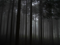 埼玉の丸山