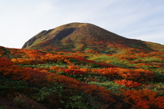 秋田駒ケ岳