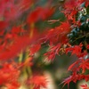 高幡不動です