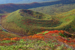 秋田駒ケ岳 ムーミン谷