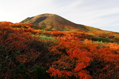 秋田駒ケ岳